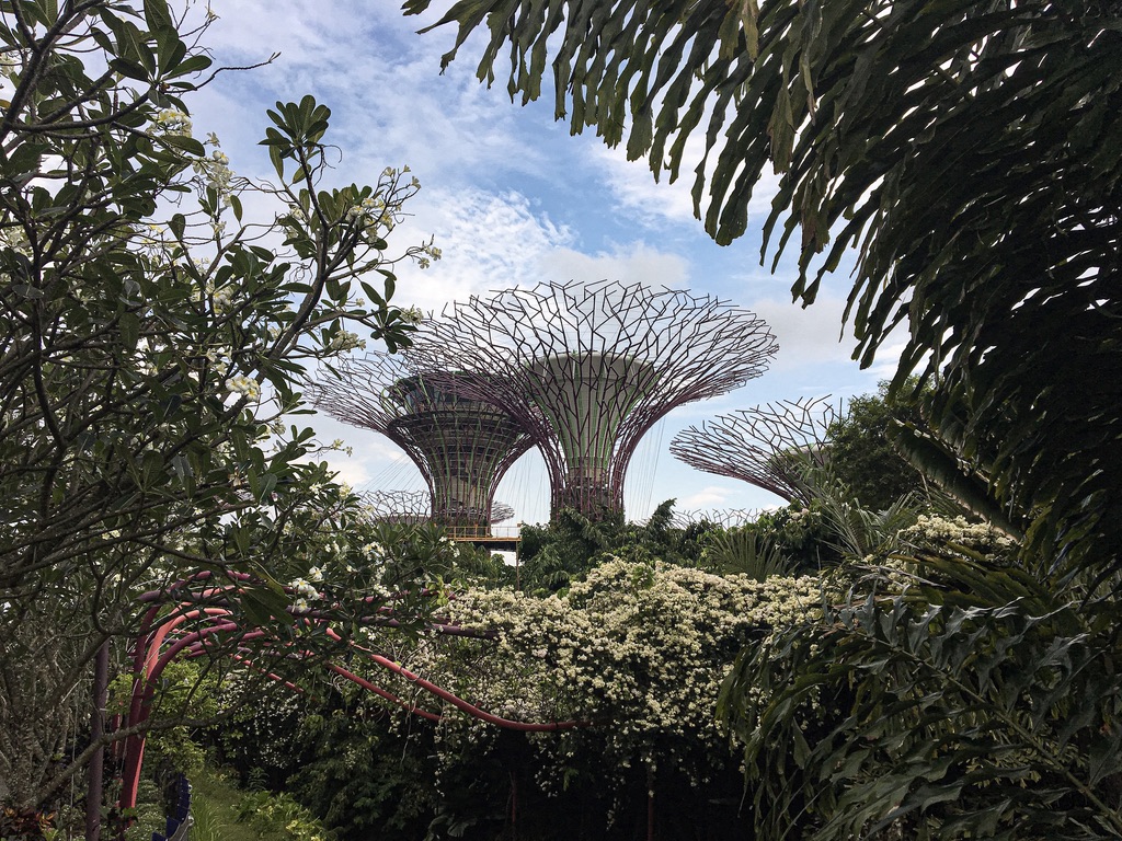 Visiter Singapour le temps d'une escale